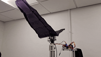 GEMUS Force Transducer Test