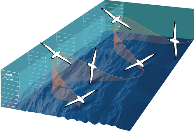 Dynamic Soaring Diagram